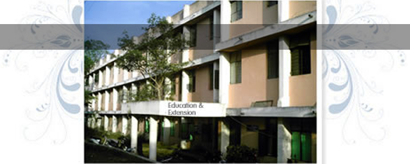 Directorate of Education 